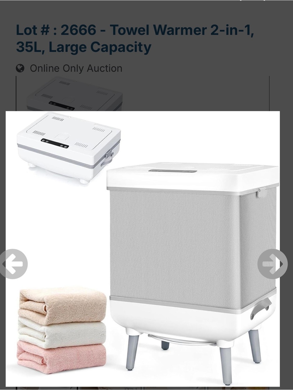 Amazon 2-in-1 Towel Warmer & Compact Laundry Tub — White and Light Gray